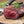 Laden Sie das Bild in den Galerie-Viewer, Elch-Filet aus der Filetspitze bei Swedish Wild