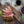 Laden Sie das Bild in den Galerie-Viewer, Swedish Wild Grill-Box